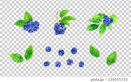 藍莓果實和葉子套裝 - 手繪水彩水果插圖 藍莓果實和葉子套裝 - 手繪水彩水果插圖 139355733