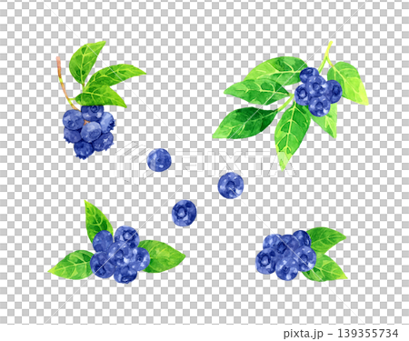 藍莓套裝 - 手繪水彩水果插畫 藍莓套裝 - 手繪水彩水果插畫 139355734