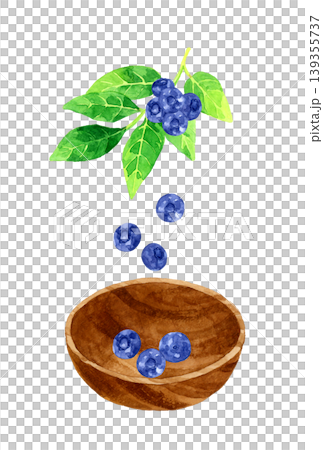 葉っぱ付きのブルーベリーと木製の器　フルーツの手描き水彩イラスト素材 139355737