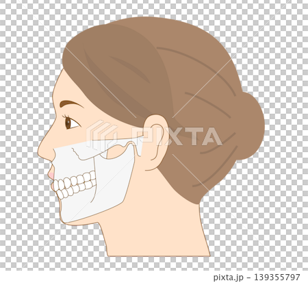 顎を閉じた状態の女性の横顔の解剖学イラストセット 139355797