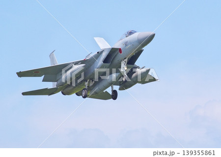 着陸態勢の航空自衛隊のF-15J 着陸態勢の航空自衛隊のF-15J 139355861