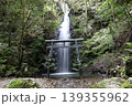 岩門の滝 139355962