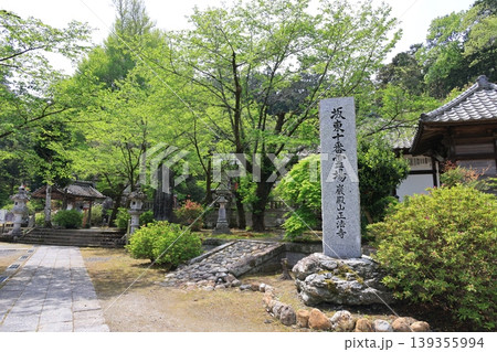 埼玉県東松山市の岩殿観音の風景 埼玉県東松山市の岩殿観音の風景 139355994