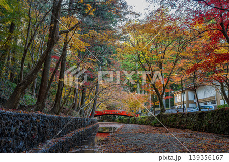 森町の遠江国一宮小國神社の紅葉の風景(静岡県) 森町の遠江国一宮小國神社の紅葉の風景(静岡県) 139356167