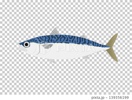サバのイラスト 139356199