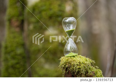 苔の森と砂時計 苔の森と砂時計 139356713