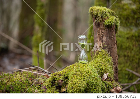 苔の森と砂時計 苔の森と砂時計 139356715