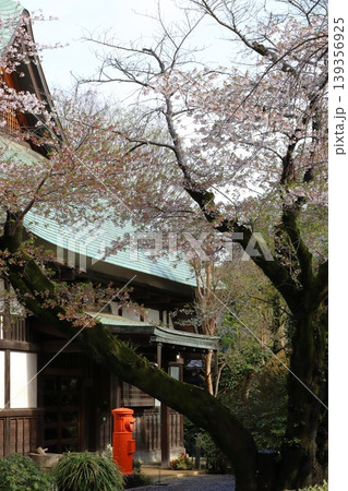 桜のある風景 お寺の桜 桜のある風景 お寺の桜 139356925