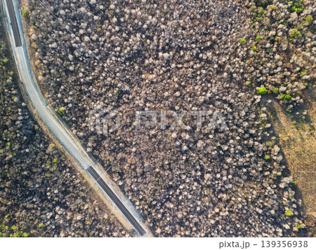 Road runs through a dry area with sparse green trees Road runs through a dry area with sparse green trees 139356938