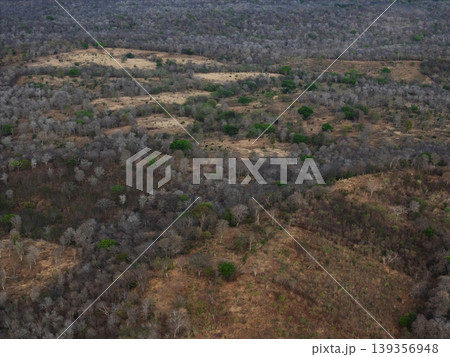 Dry landscape with sparse trees in a rural area during the day Dry landscape with sparse trees in a rural area during the day 139356948