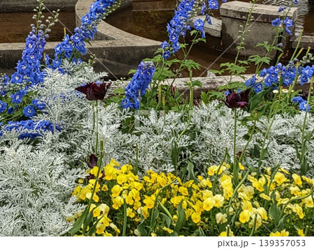 2604噴水前の花壇 2604噴水前の花壇 139357053