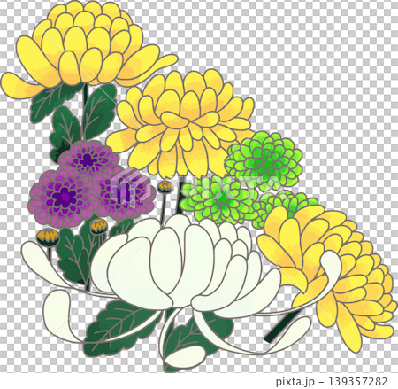 Chrysanthemum bouquet illustration material - Yellow, white, purple, green (4 colors) - Japanese style - Corner material - Hand-drawn style - Autumn/Equinox - White background Chrysanthemum bouquet illustration material - Yellow, white, purple, green (4 colors) - Japanese style - Corner material - Hand-drawn style - Autumn/Equinox - White background 139357282