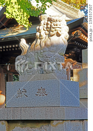 八幡大神社（三鷹） 139357307