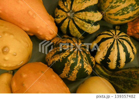 ハロウィンカボチャ 15 ハロウィンカボチャ 15 139357482