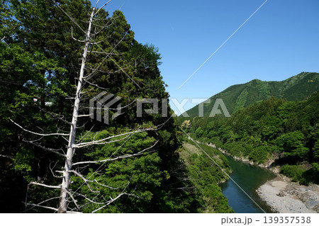 三重県多気郡大台町_舟木橋から東側風景1_2025年5月 三重県多気郡大台町_舟木橋から東側風景1_2025年5月 139357538