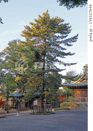 井草八幡宮(杉並) 井草八幡宮(杉並) 139357644