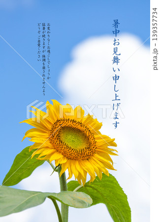 暑中お見舞いハガキのテンプレート【タテ】 暑中お見舞いハガキのテンプレート【タテ】 139357734