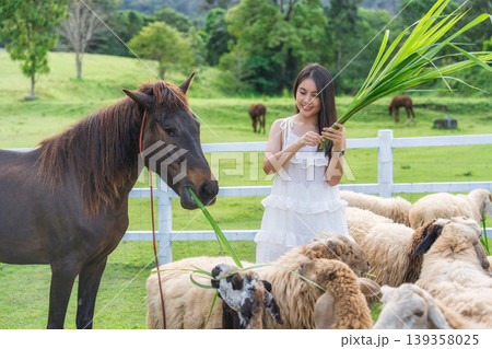 Beautiful asian woman feeding grass to flock of sheep and horse on green hill 139358025