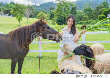 Beautiful asian woman feeding grass to flock of sheep and horse on green hill Beautiful asian woman feeding grass to flock of sheep and horse on green hill 139358026