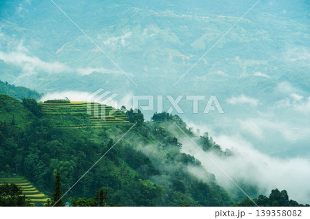 Foggy mountain with rice field terraces in tropical rainforest during the morning at countryside Foggy mountain with rice field terraces in tropical rainforest during the morning at countryside 139358082