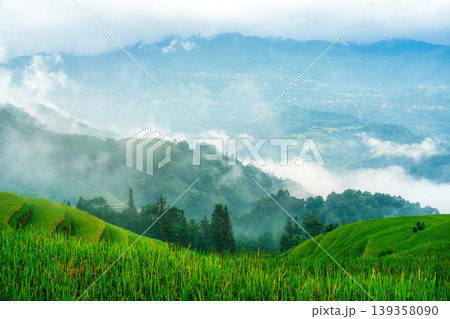 Lush rice field terraces with mountain and foggy covered in the morning Lush rice field terraces with mountain and foggy covered in the morning 139358090