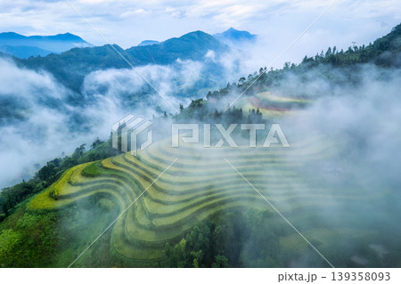 Lush rice field terraces enveloped in fog during harvest in countryside at the morning 139358093