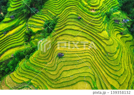 Beautiful lush rice field terrace with barn during harvest on highland in countryside at Vietnam Beautiful lush rice field terrace with barn during harvest on highland in countryside at Vietnam 139358132