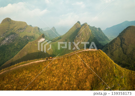 Scenery of Ba Guang grass hill, Mountain range with fog and villager bringing horse to graze on the mountain in the morning Scenery of Ba Guang grass hill, Mountain range with fog and villager bringing horse to graze on the mountain in the morning 139358173