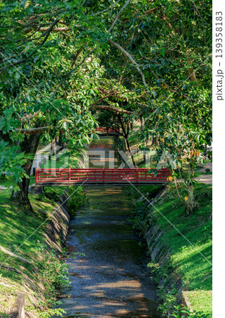 Iconic red bridge over canal surrounded by lush green trees and foliage Iconic red bridge over canal surrounded by lush green trees and foliage 139358183