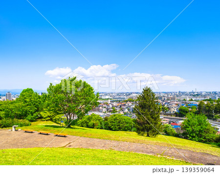 東京郊外の住宅地　春景 139359064
