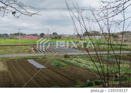 見沼代用水西縁から見た春の見沼田圃の風景 見沼代用水西縁から見た春の見沼田圃の風景 139359137