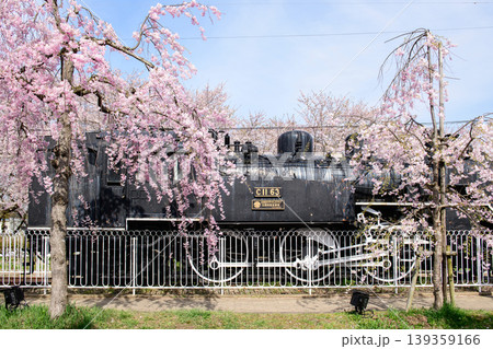 清々しい朝　SLと枝垂れ桜　日中線枝垂れ桜並木　福島県 139359166