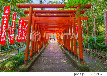 小牧山稲荷神社の赤い鳥居(愛知県小牧市) 小牧山稲荷神社の赤い鳥居(愛知県小牧市) 139359326
