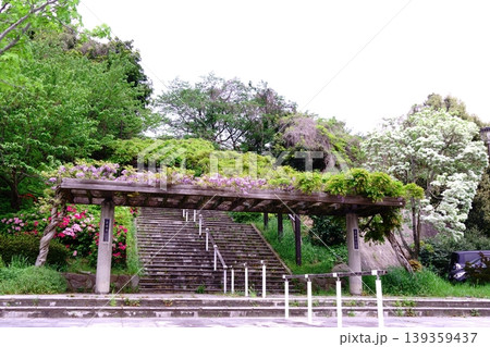 吉祥寺公園の入口風景 吉祥寺公園の入口風景 139359437