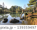 文化財指定庭園　特別名勝　兼六園 139359497