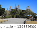 文化財指定庭園　特別名勝　兼六園 139359500