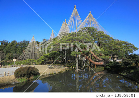文化財指定庭園 特別名勝 兼六園 文化財指定庭園 特別名勝 兼六園 139359501
