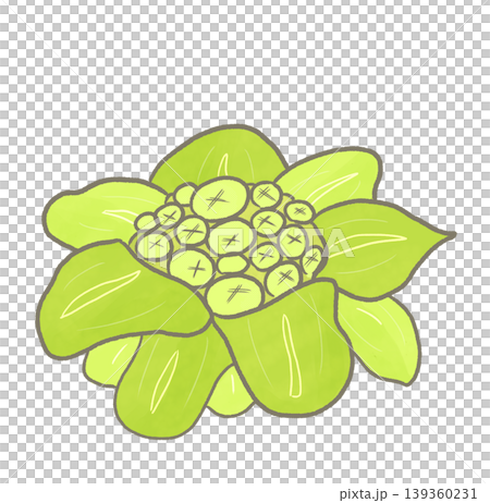 R:もっとメルヘンな野菜 ふきのとう② 139360231