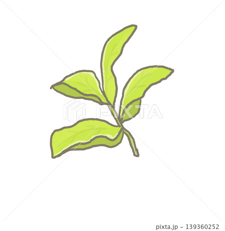 R:もっとメルヘンな野菜 お茶ノ木① R:もっとメルヘンな野菜 お茶ノ木① 139360252