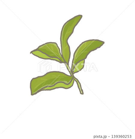 R:もっとメルヘンな野菜 お茶ノ木② 139360253