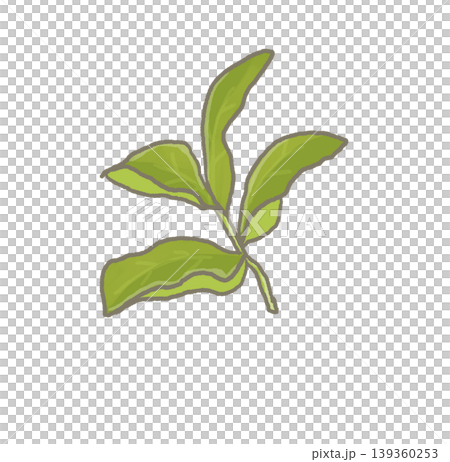 R:もっとメルヘンな野菜 お茶ノ木② 139360253