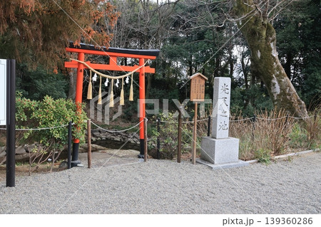 鷲宮神社の光天ノ池 鷲宮神社の光天ノ池 139360286