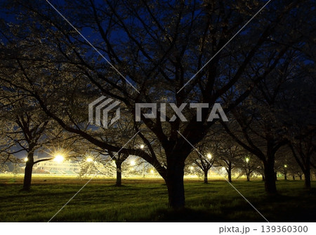 桜のある風景 桜のある風景 139360300
