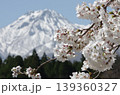 満開の桜　残雪の妙高山をバックに 139360327