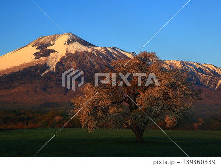 岩手山と一本桜 139360339