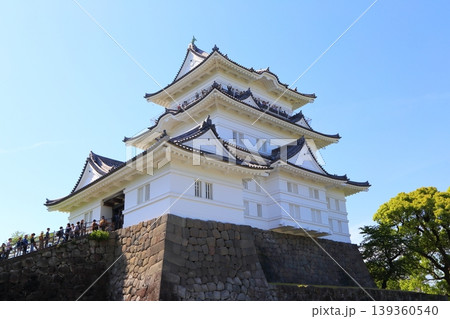小田原城本丸の天守閣 139360540