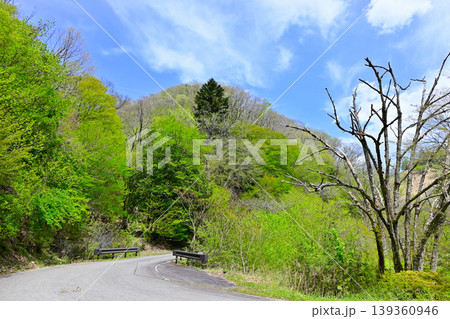 千町段ヶ峰林道 千町段ヶ峰林道 139360946
