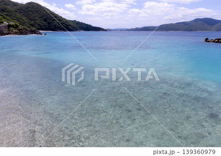 奄美大島 瀬戸内町 管鈍 奄美大島 瀬戸内町 管鈍 139360979