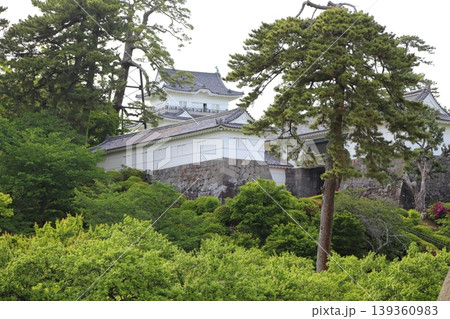 小田原城銅門より天守閣を望む 139360983