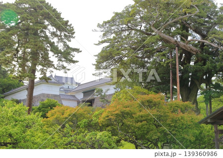 小田原城銅門より天守閣を望む 小田原城銅門より天守閣を望む 139360986